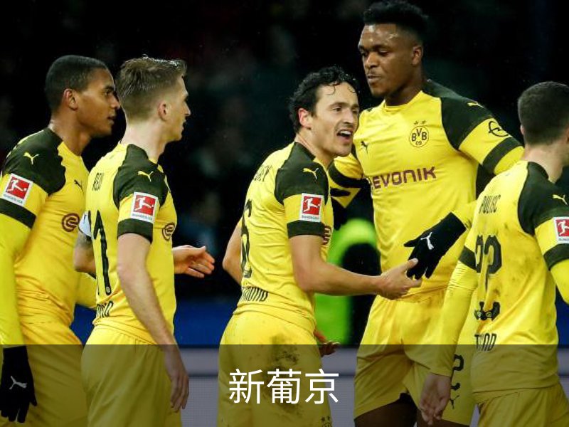 了解新葡京